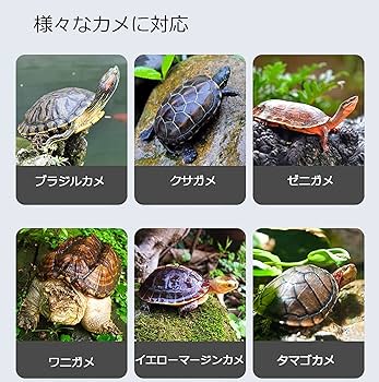 カメオ まとめ Amazon | BAOSHISHAN 亀の水槽 亀飼育ケース カメケージ 爬虫類